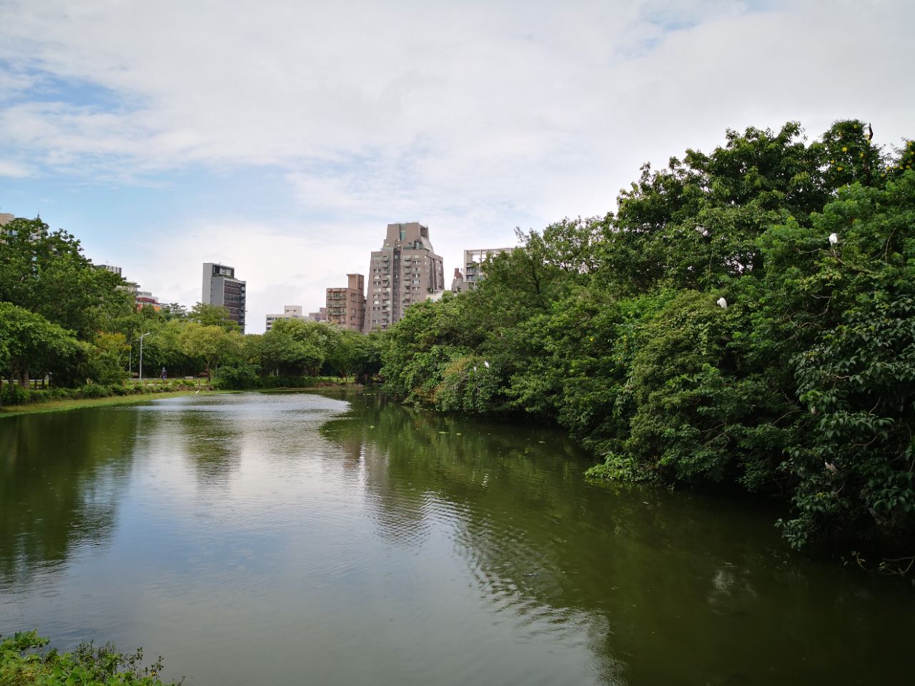 台北大安森林公园好玩吗,台北大安森林公园景点怎么样