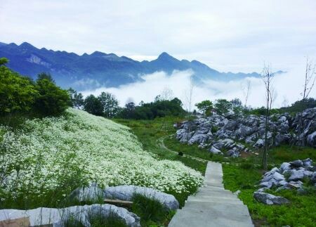 北川药王谷好玩吗,北川药王谷景点怎么样_点评_评价【携程攻略】