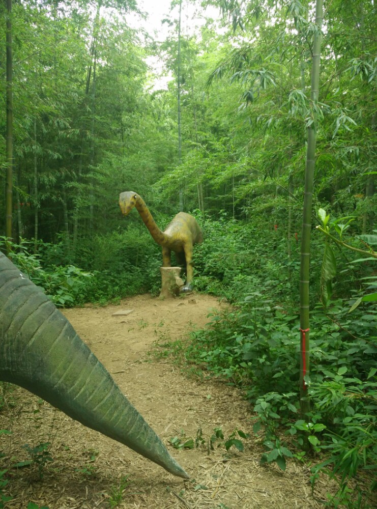 2019竹洞天风景区_旅游攻略_门票_地址_游记点评,日照