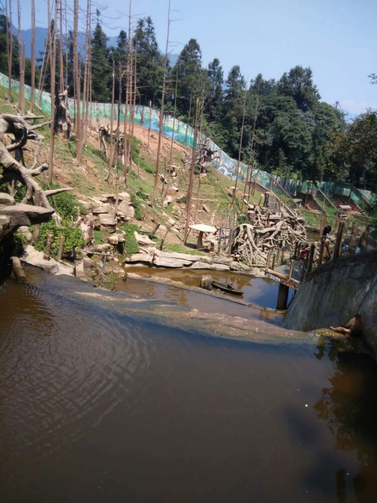 碧峰峡野生动物园