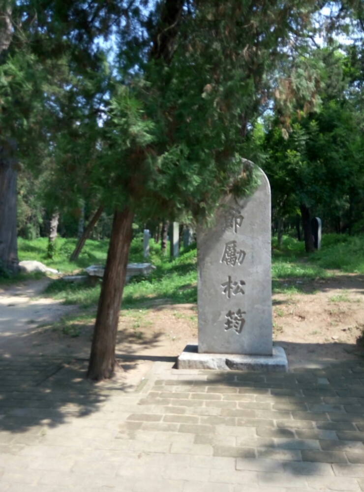 孔林