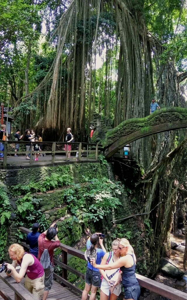 【携程攻略】巴厘岛圣猴森林公园适合家庭亲子旅游吗