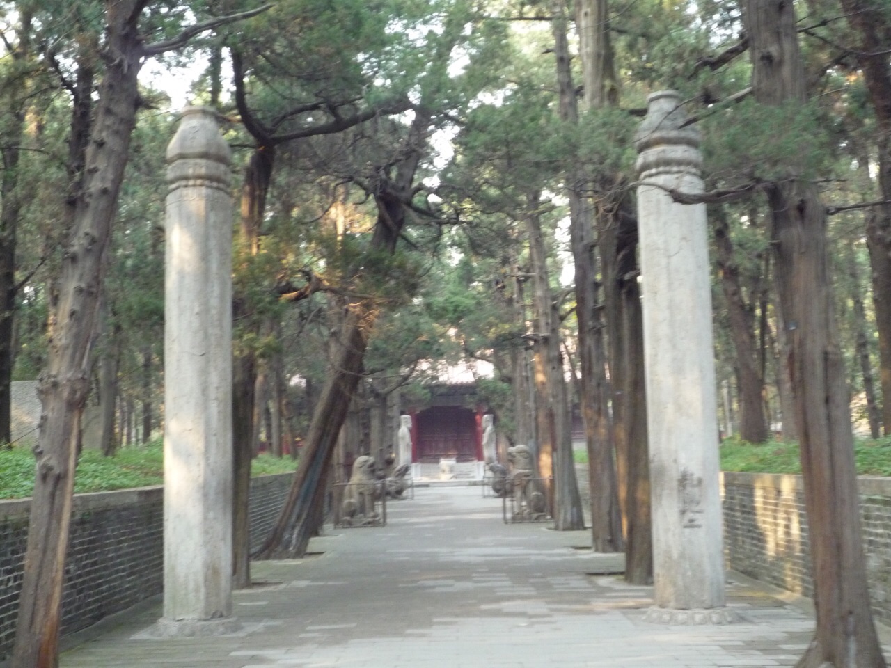 孔林