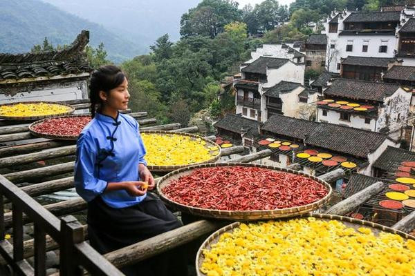 今天继续走进上饶,去婺源篁岭看看那幅中国绝无仅有的"晒秋人家"