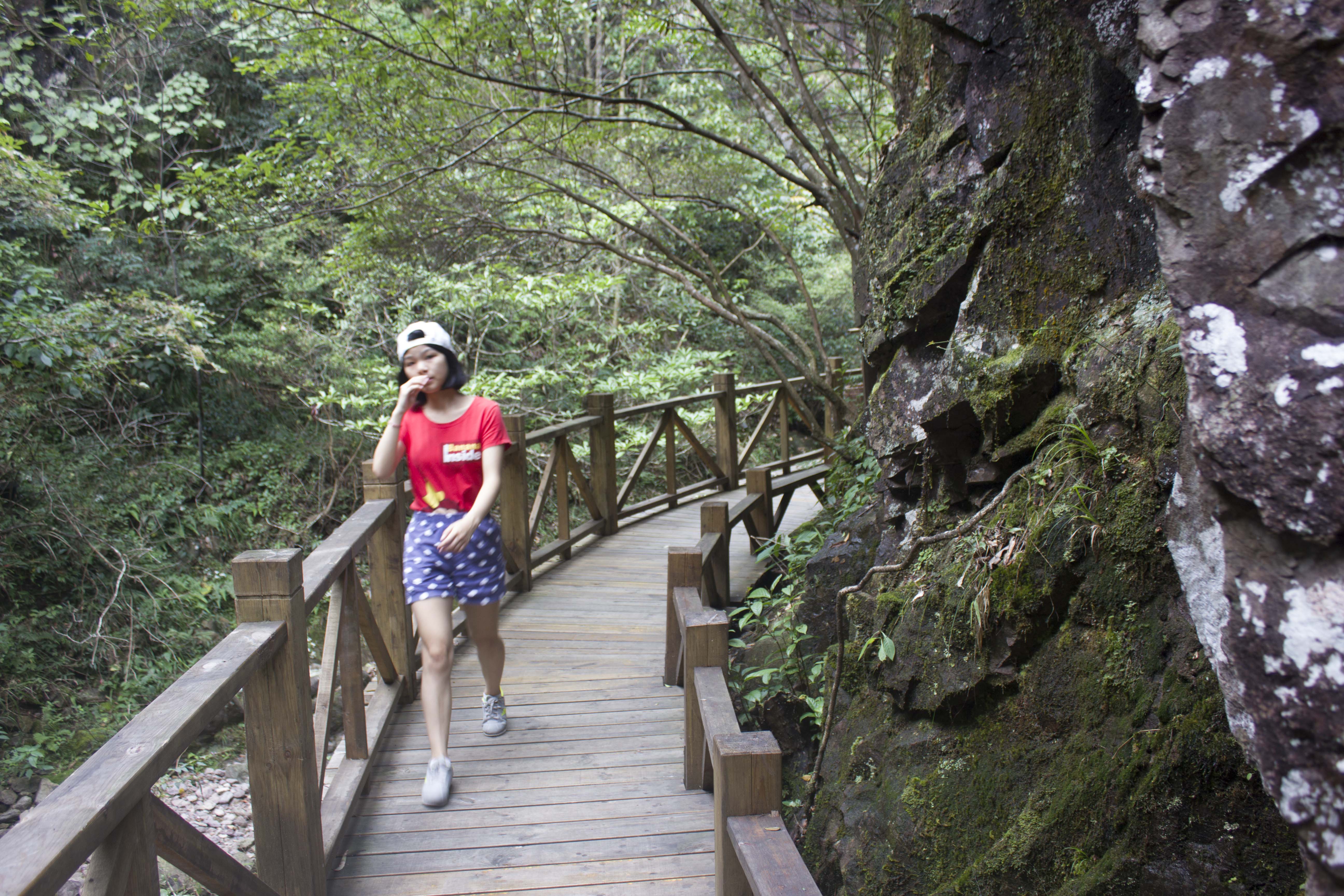 衢州药王山是目前生态环境较好的高山旅游景区吧 游客很多的吧&