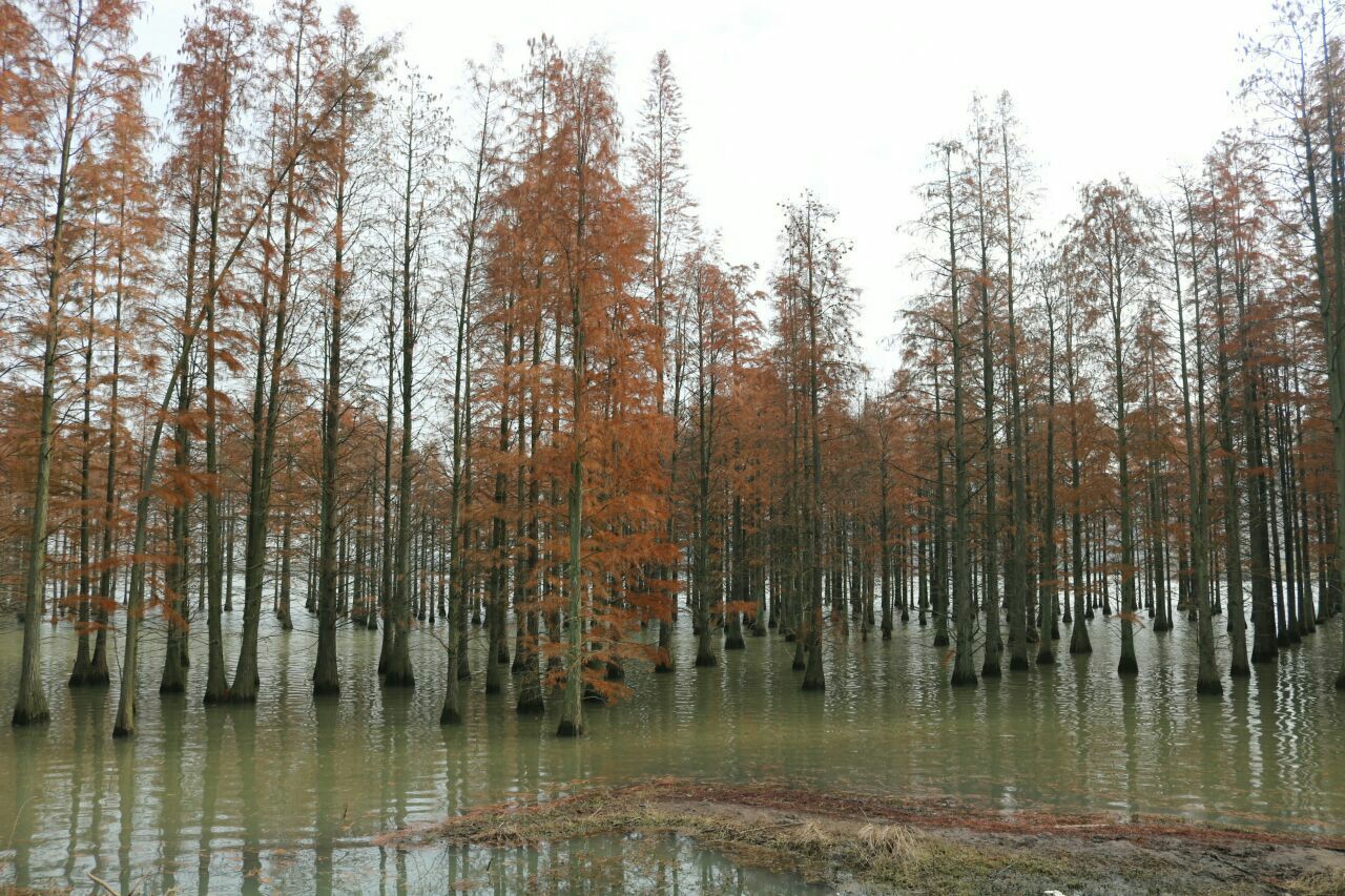 竹镇止马岭旅游景点攻略图