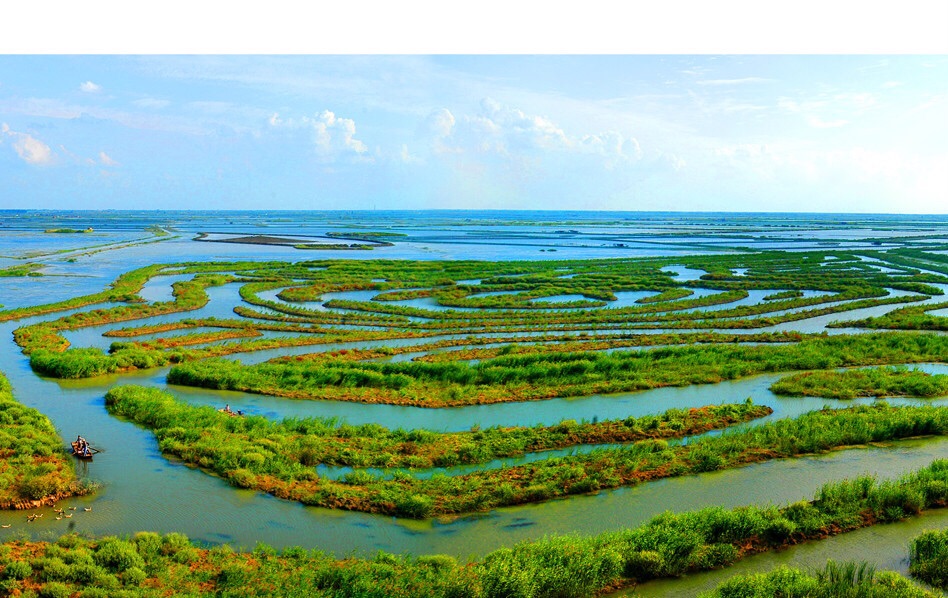 大纵湖