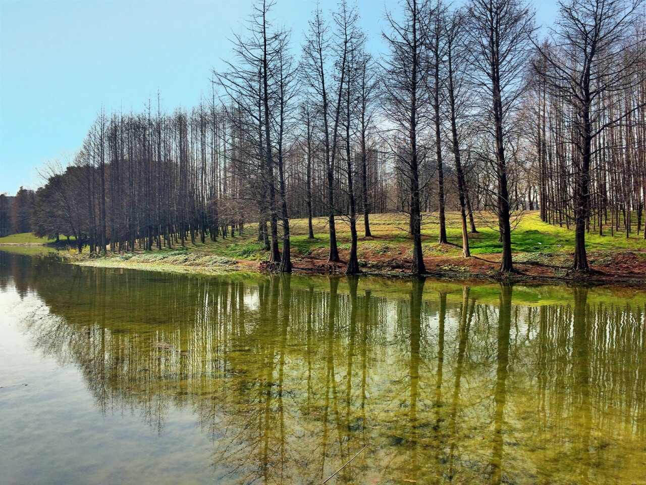 世博后滩湿地公园旅游景点攻略图