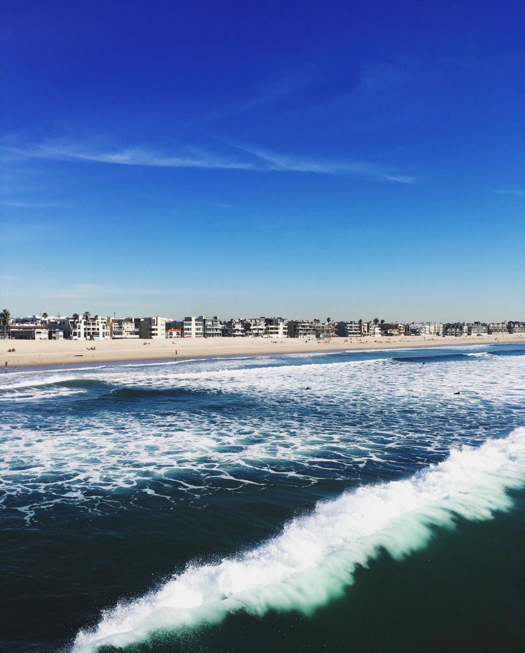 威尼斯海滩venice beach