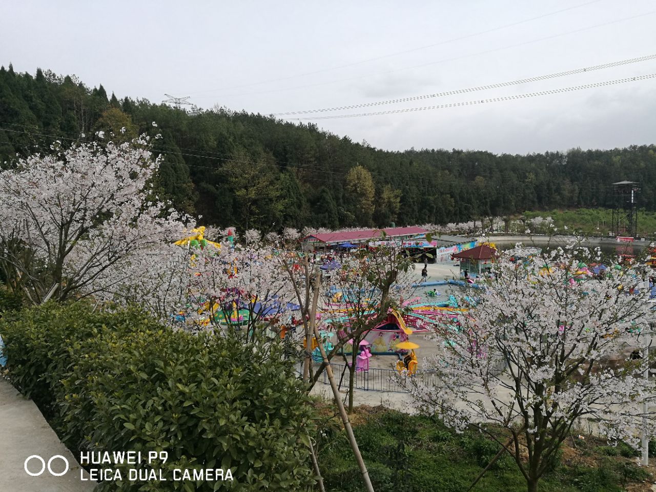 三台绵阳盛世樱花悠乐谷攻略,三台绵阳盛世樱花悠乐谷门票/游玩攻略