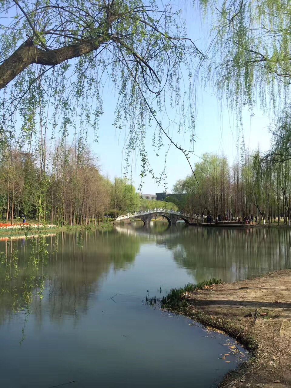 太子湾公园位于西湖西南隅,南屏山荔枝峰下.