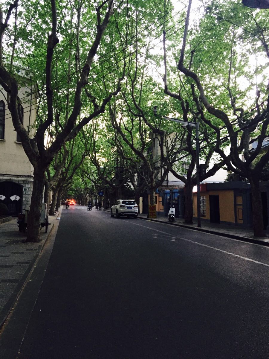 上海绍兴路好玩吗,上海绍兴路景点怎么样_点评_评价