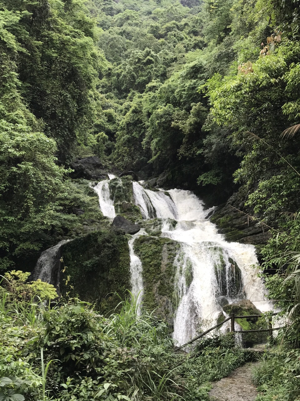 【携程攻略】荔波荔波茂兰国家级自然保护区好玩吗,荔波荔波茂兰国家