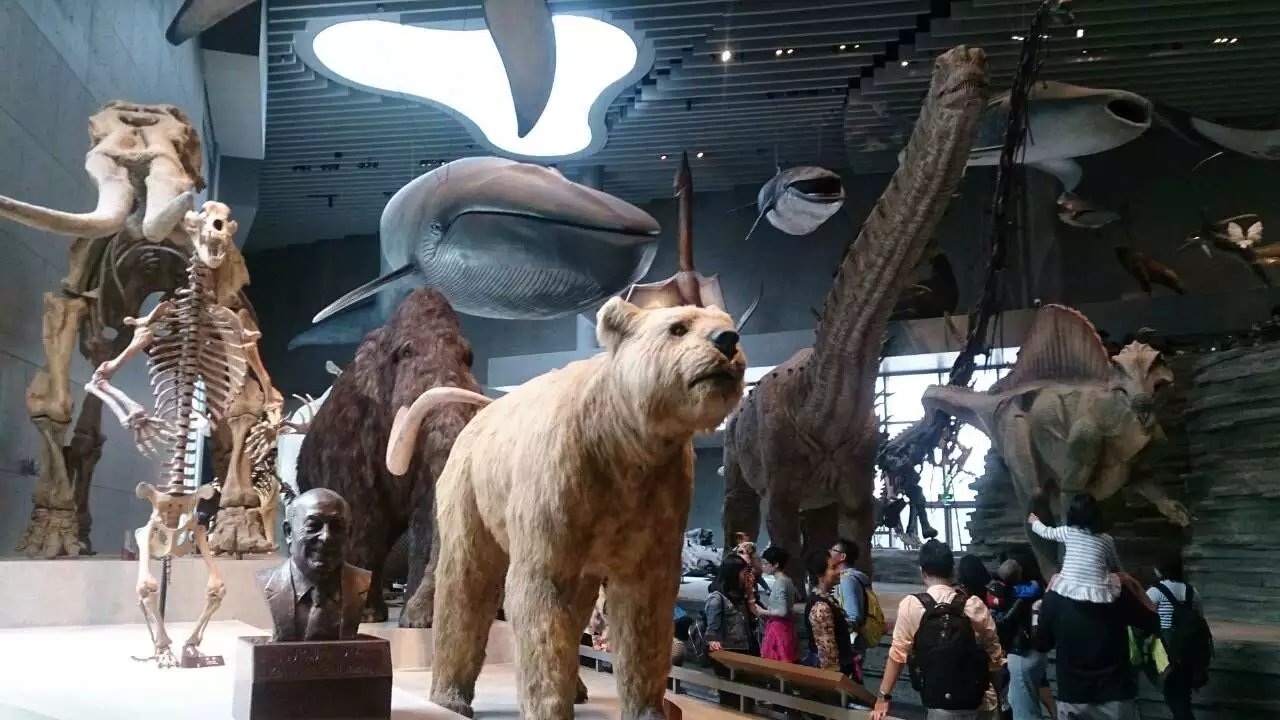 位于静安区的上海自然博物馆新馆,是我国最大的自然博物馆之一.
