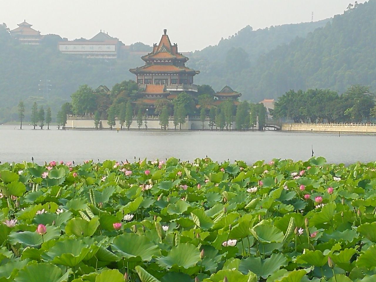 顺峰山公园旅游景点攻略图