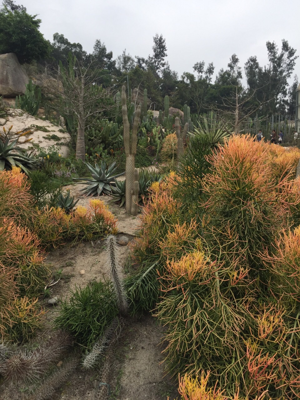 厦门园林植物园