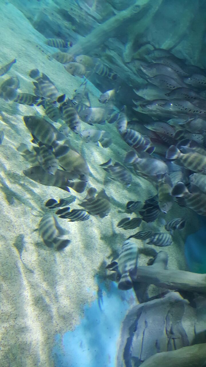 汉海海洋公园