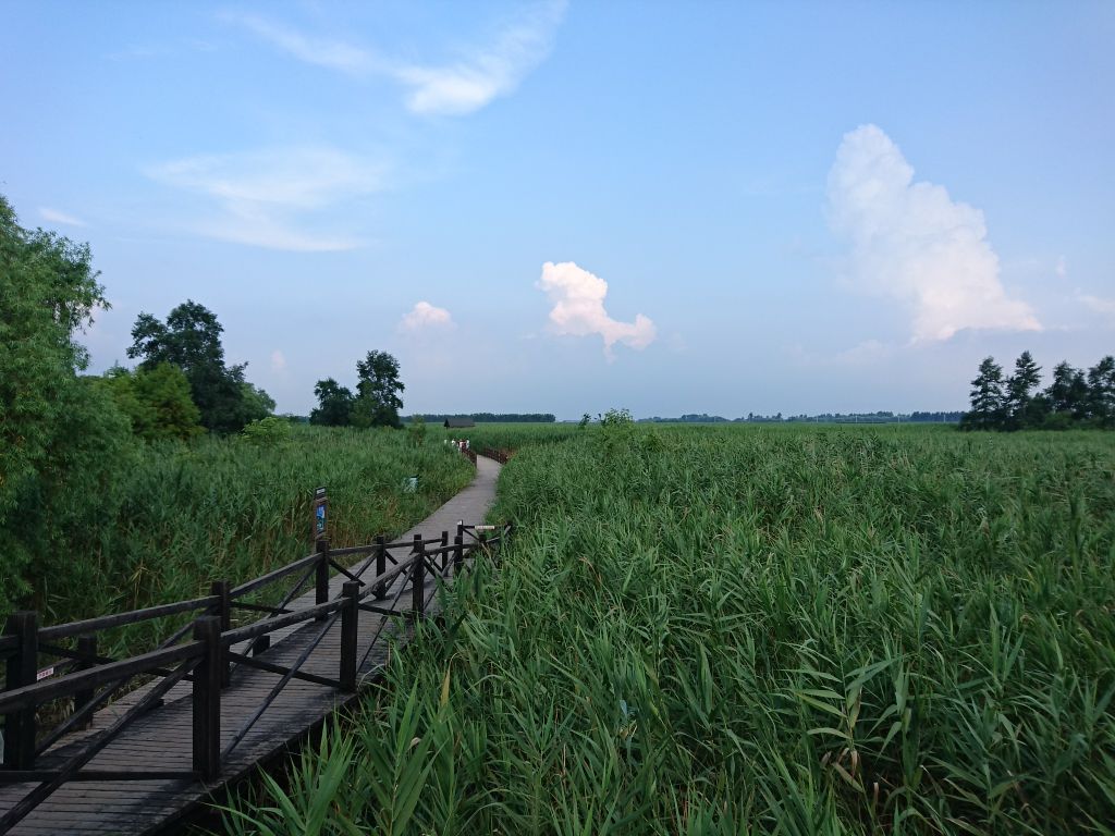 西沙湿地公园旅游景点攻略图