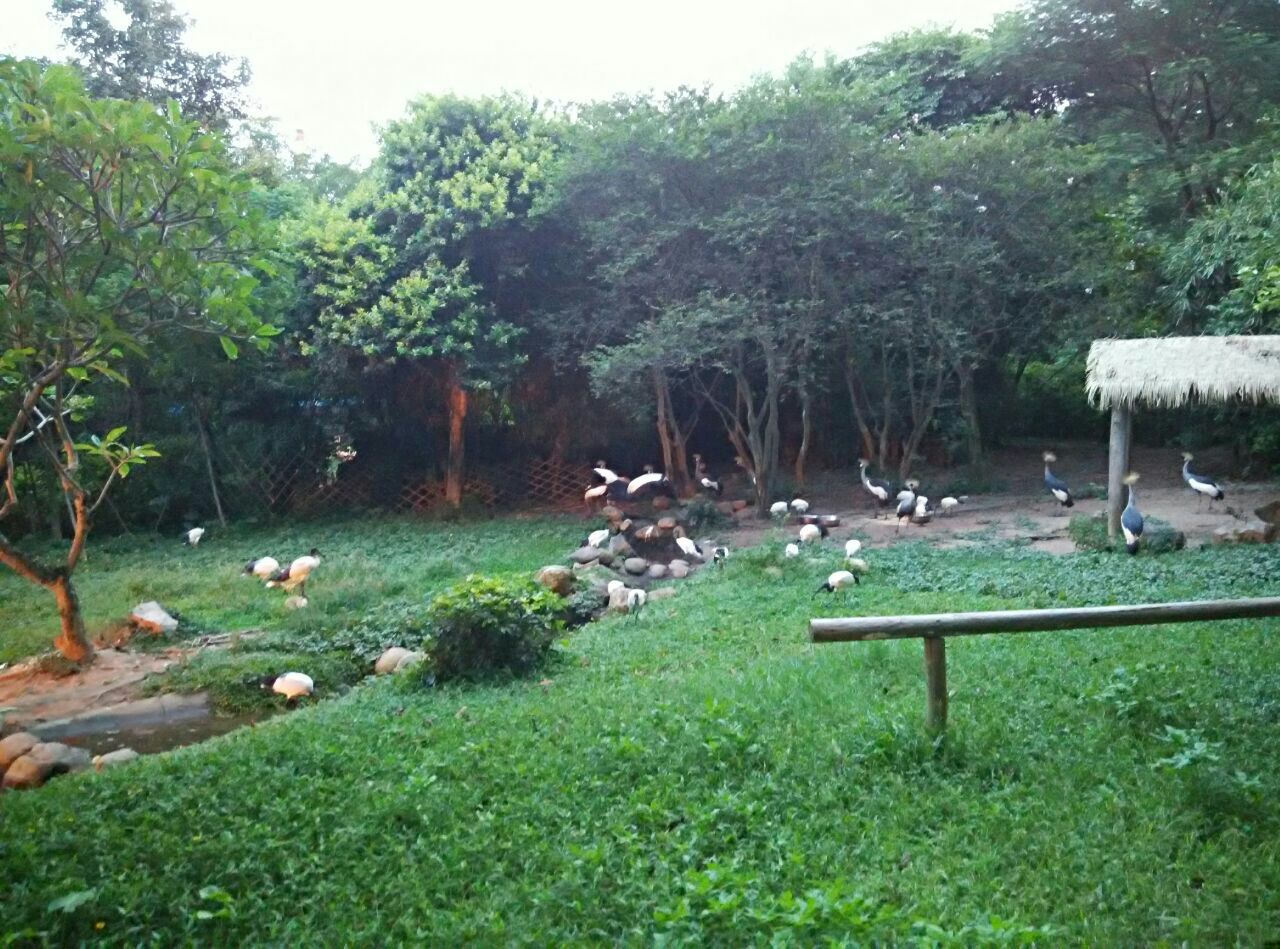 深圳野生动物园