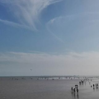 天津海滨旅游度假区