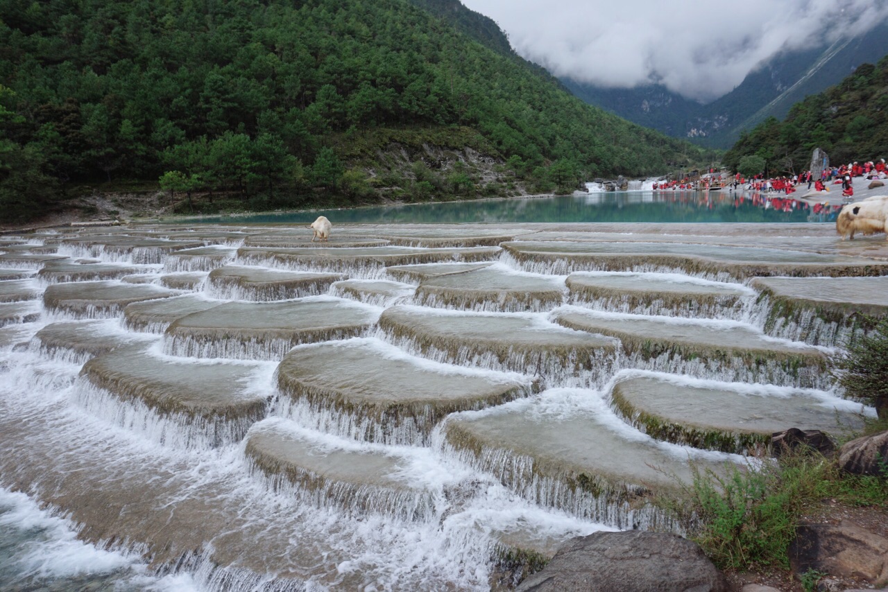 2019蓝月谷_旅游攻略_门票_地址_游记点评,丽江旅游景点推荐 去哪儿