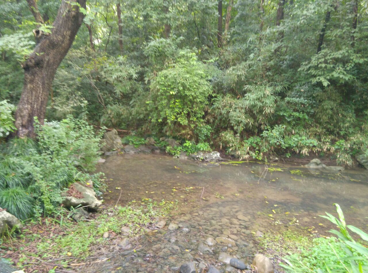 龙泓涧景区