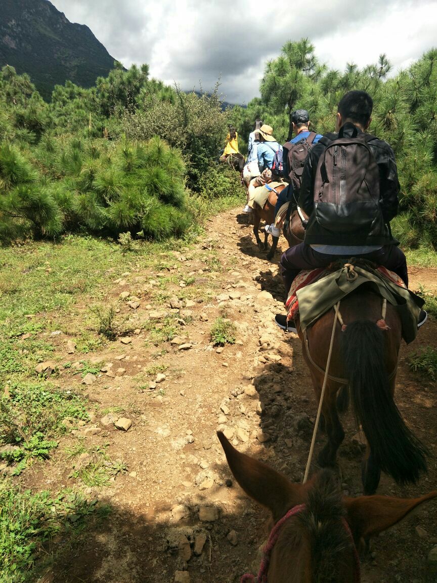 茶马古道安中马场