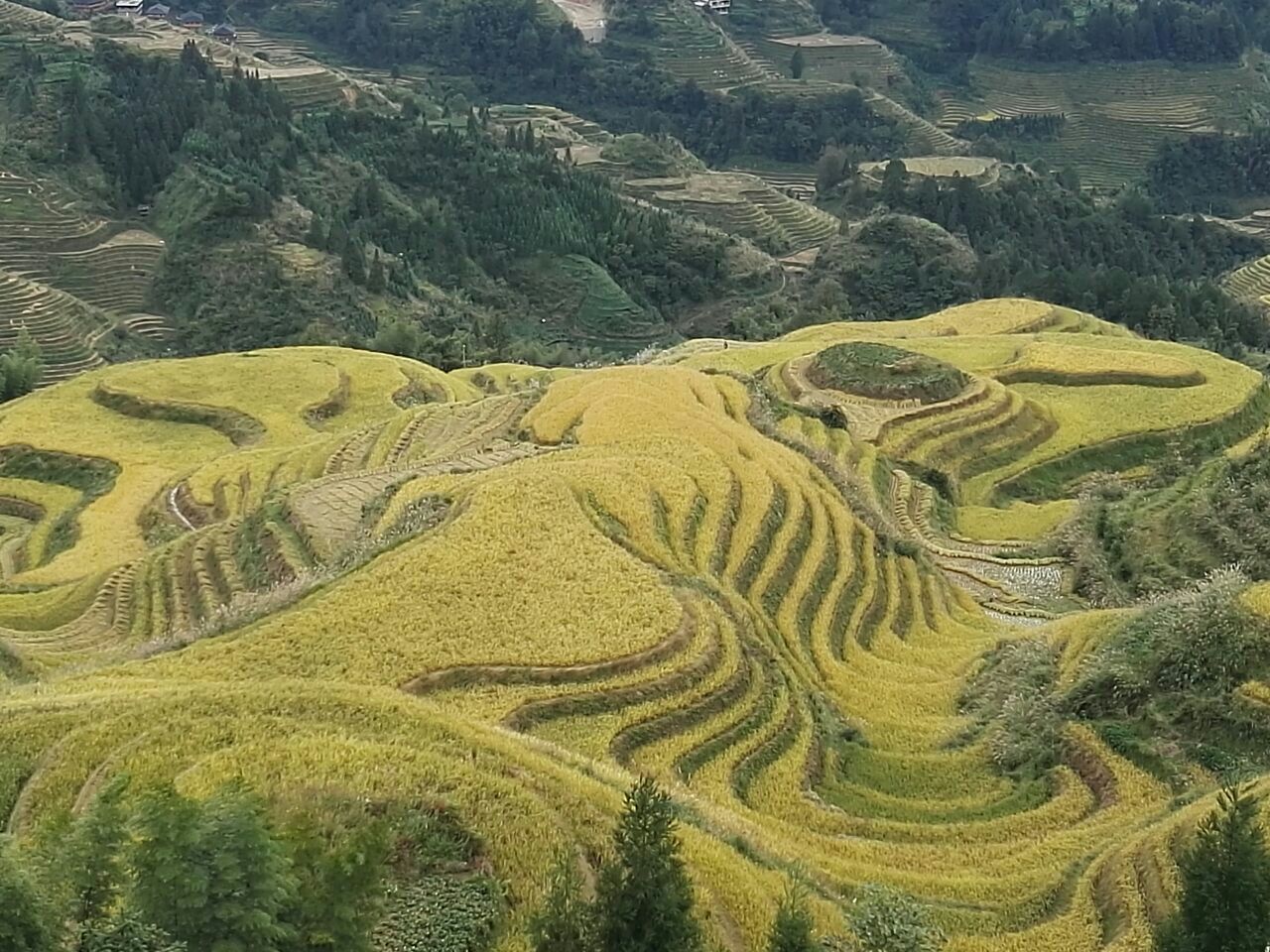 金坑梯田