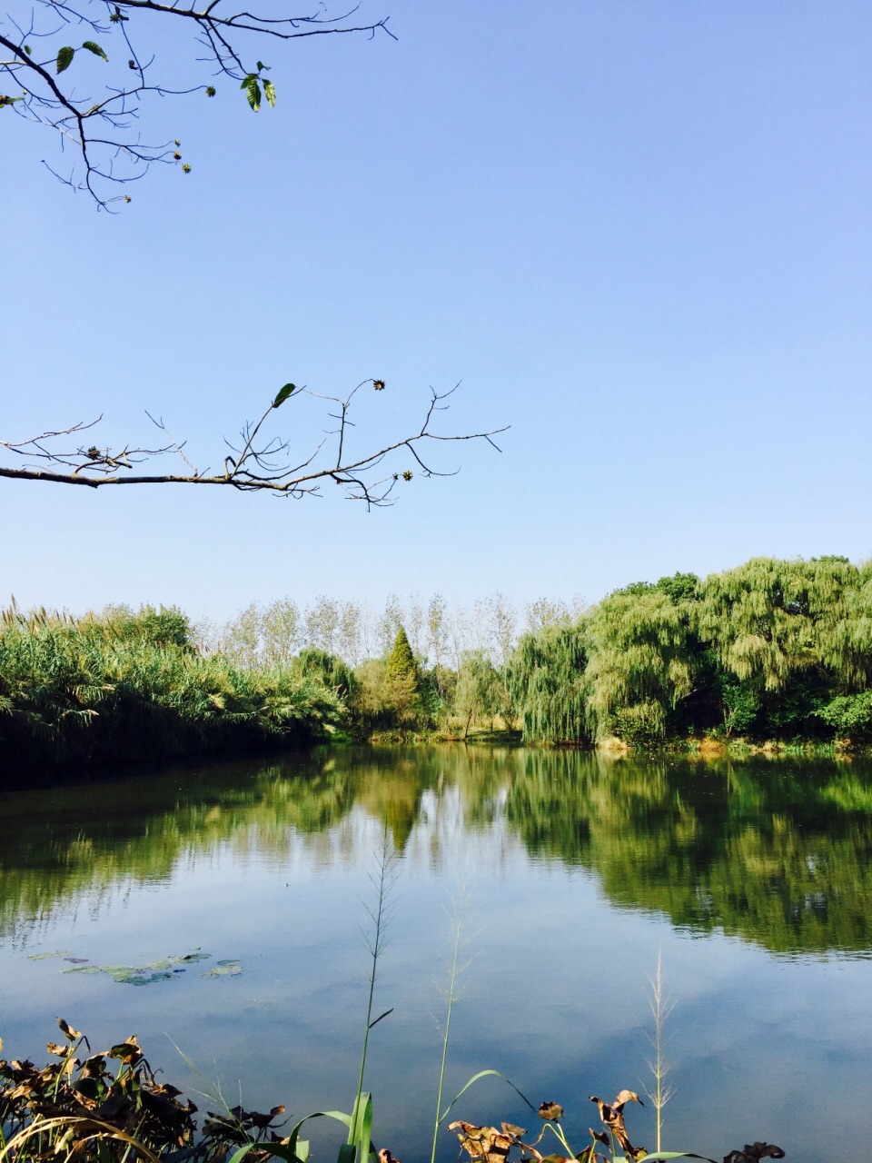 溱湖国家湿地公园旅游景点攻略图