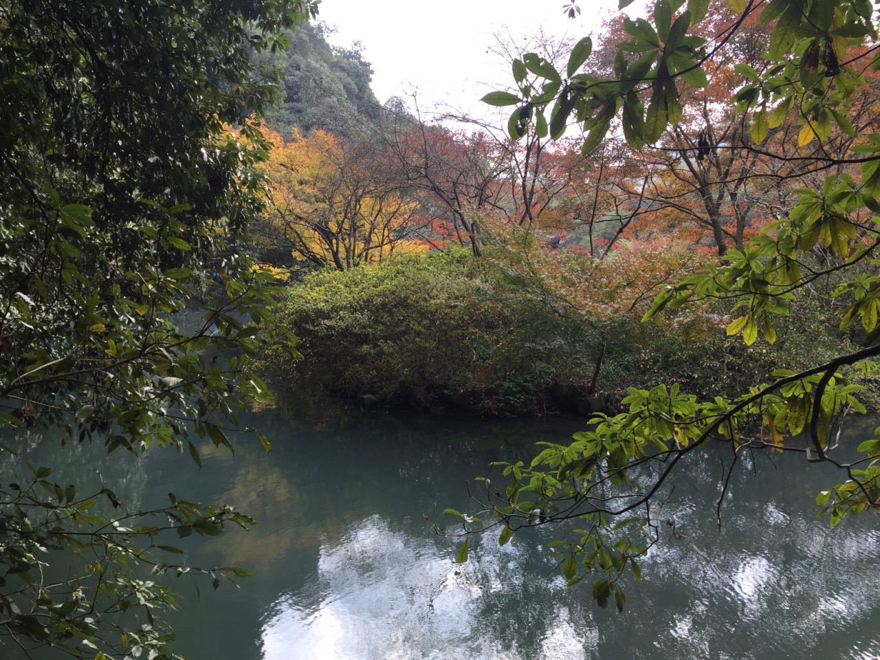 九溪烟树旅游景点攻略图