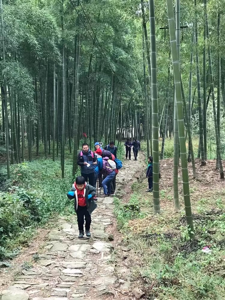 青山隐隐水迢迢 秋尽江南草未凋——湖州古道徒步纪实