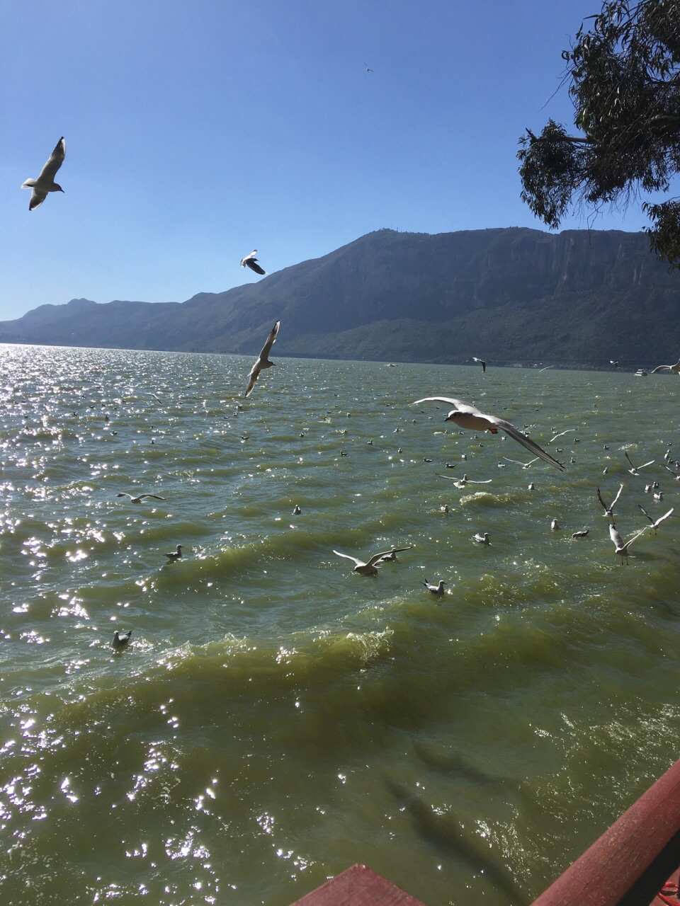 滇池旅游景点攻略图