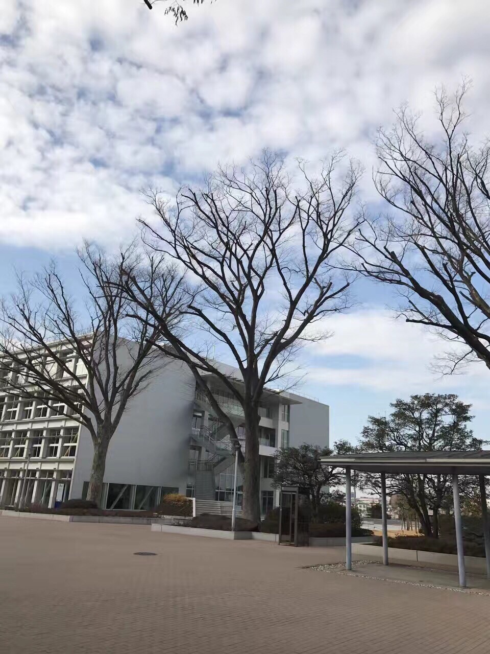 横滨国立大学