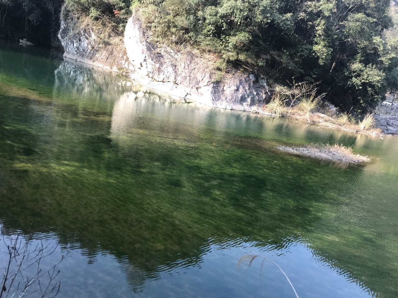 2019龙湾潭国家森林公园-旅游攻略-门票-地址-问答-游记点评,楠溪江
