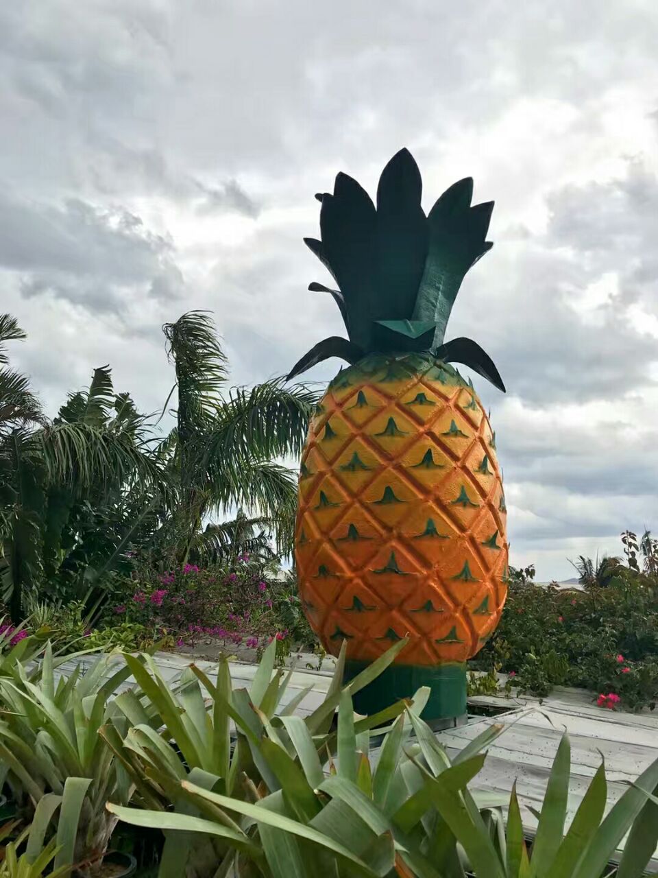 名护菠萝园