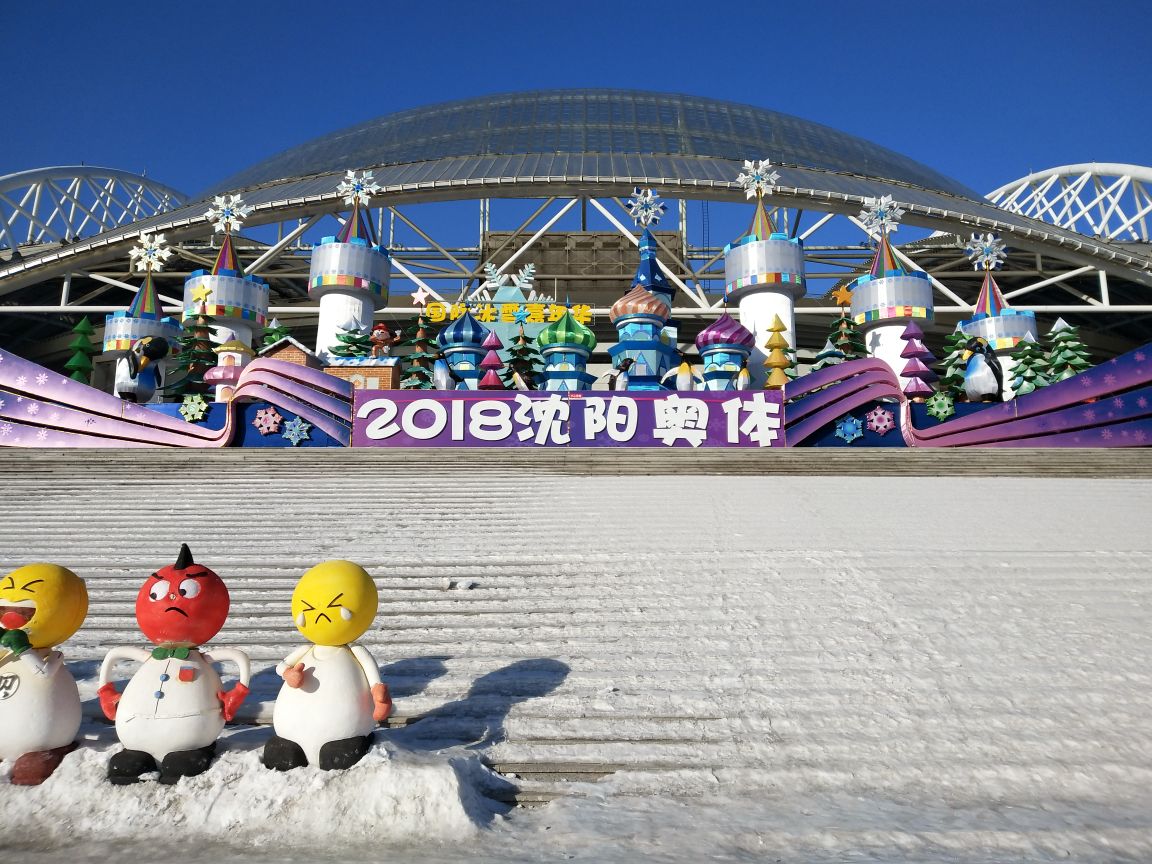 沈阳奥体冰雪嘉年华好玩吗,沈阳奥体冰雪嘉年华景点样