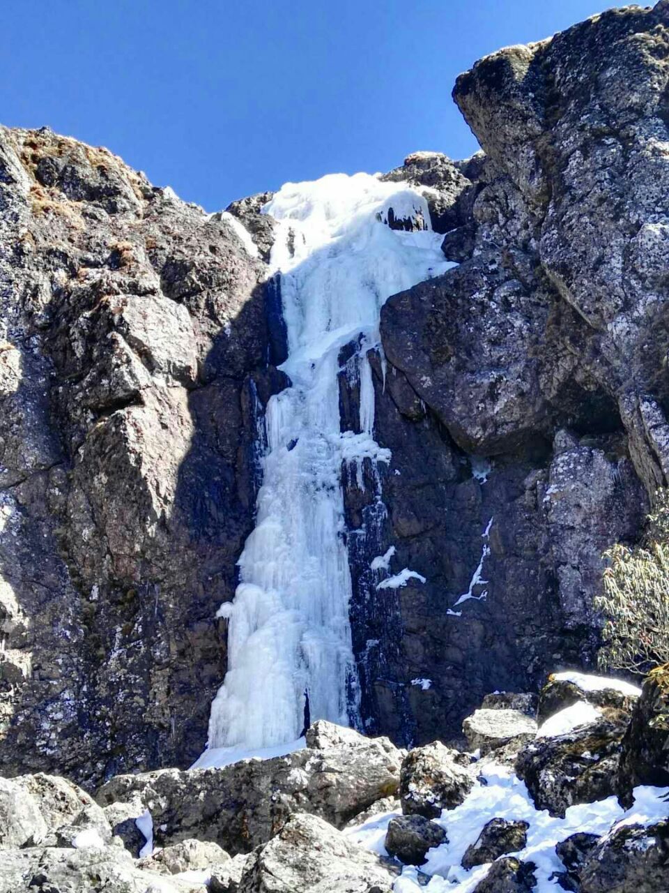 轿子雪山