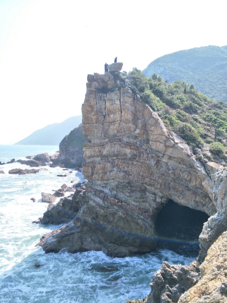 杨梅坑