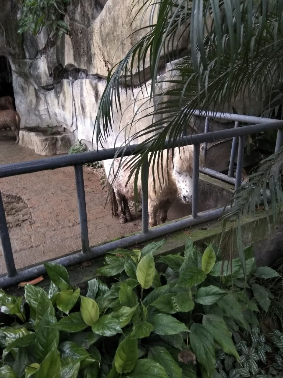 重庆动物园旅游景点攻略图
