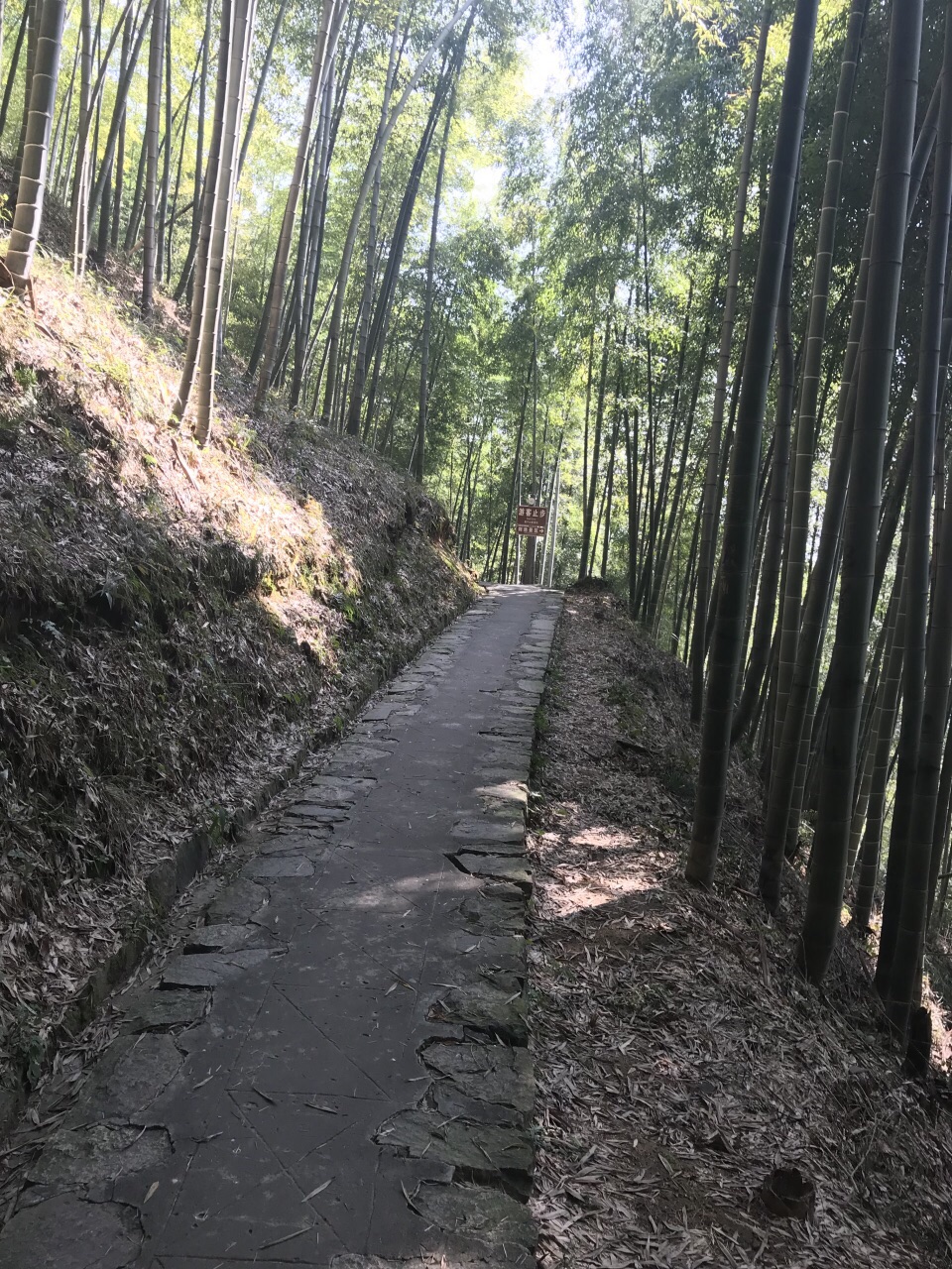 莫干山景区旅游景点攻略图