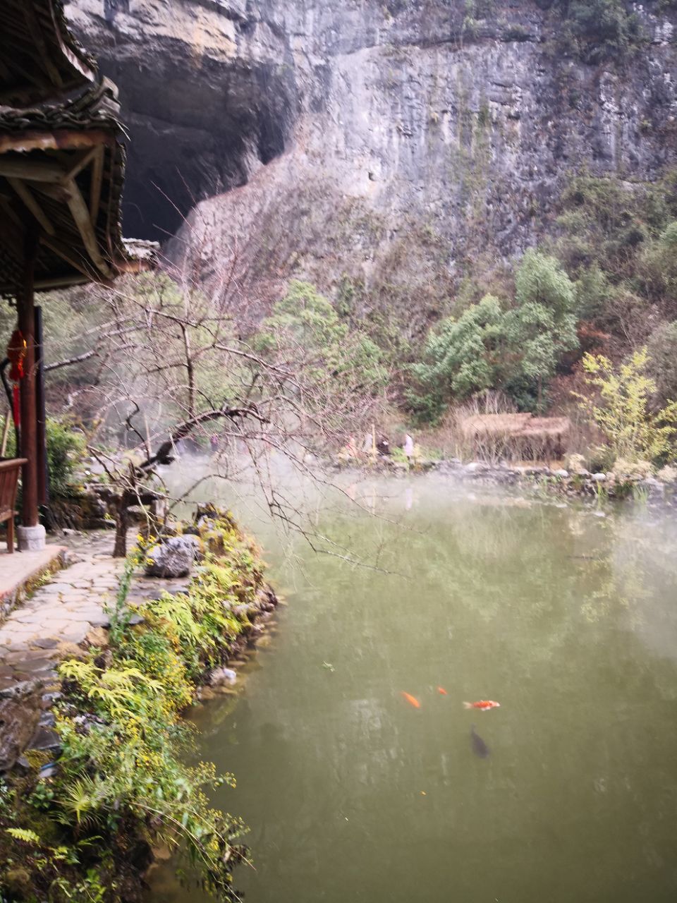 2019酉阳桃花源_旅游攻略_门票_地址_游记点评,重庆旅游景点推荐 去