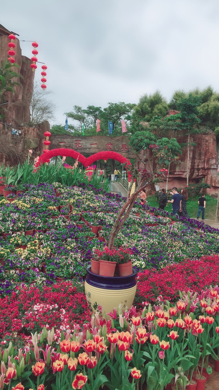梦幻百花洲