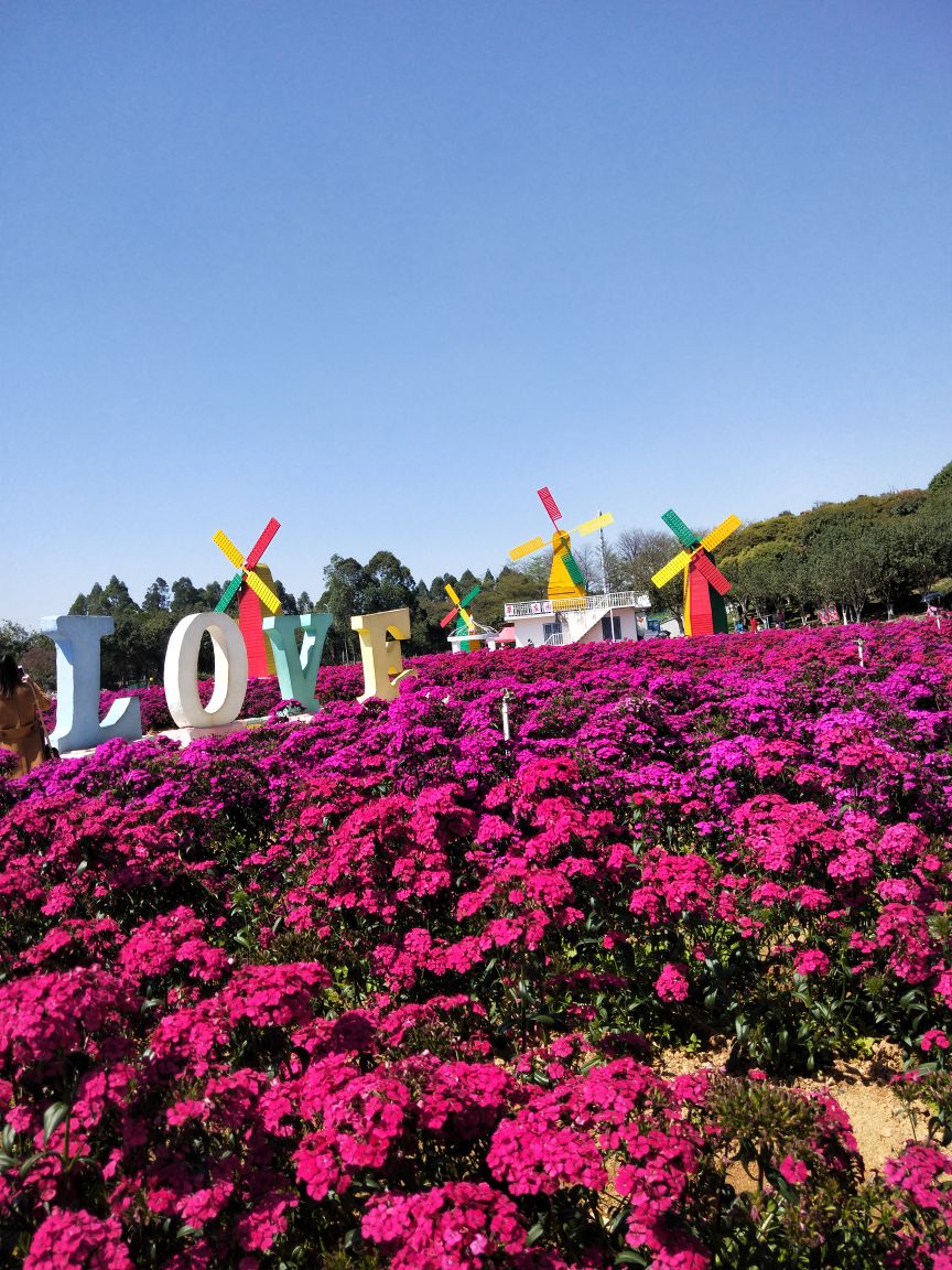 东莞梦幻百花洲好玩吗,东莞梦幻百花洲景点怎么样