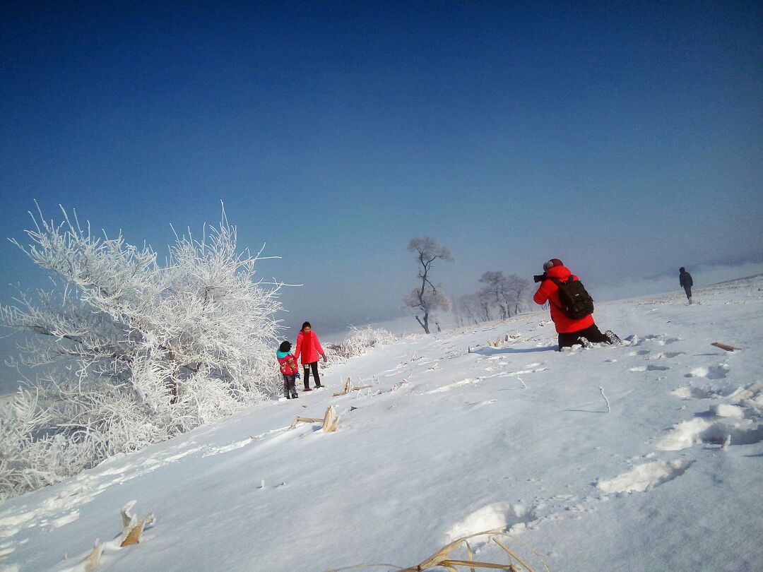 雾凇岛