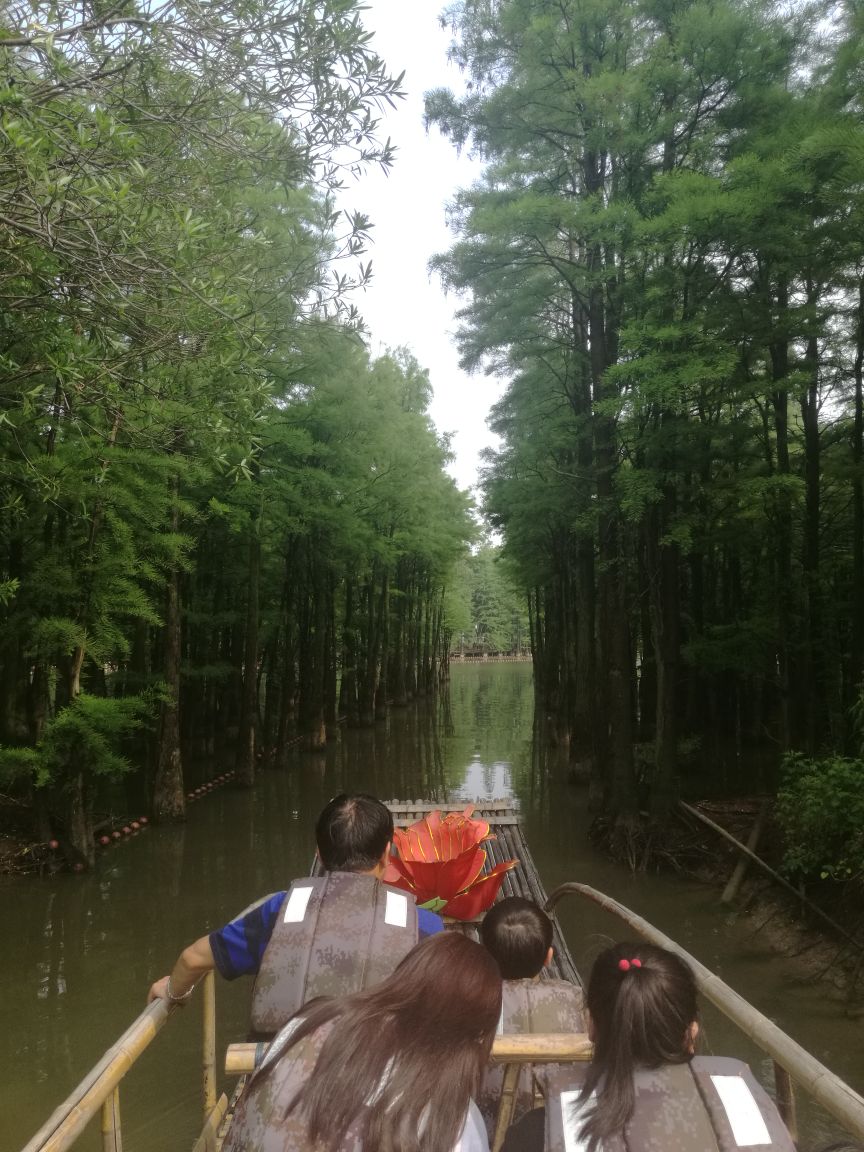 【携程攻略】常熟尚湖风景区景点,水上森林很好,看到