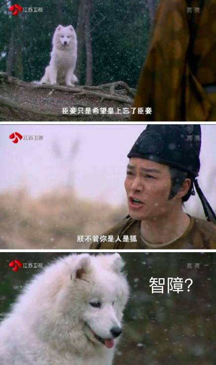 过了很久才发现自己瞎了 怪我咯 这都不算什么 接下来,瞎眼系列 已经