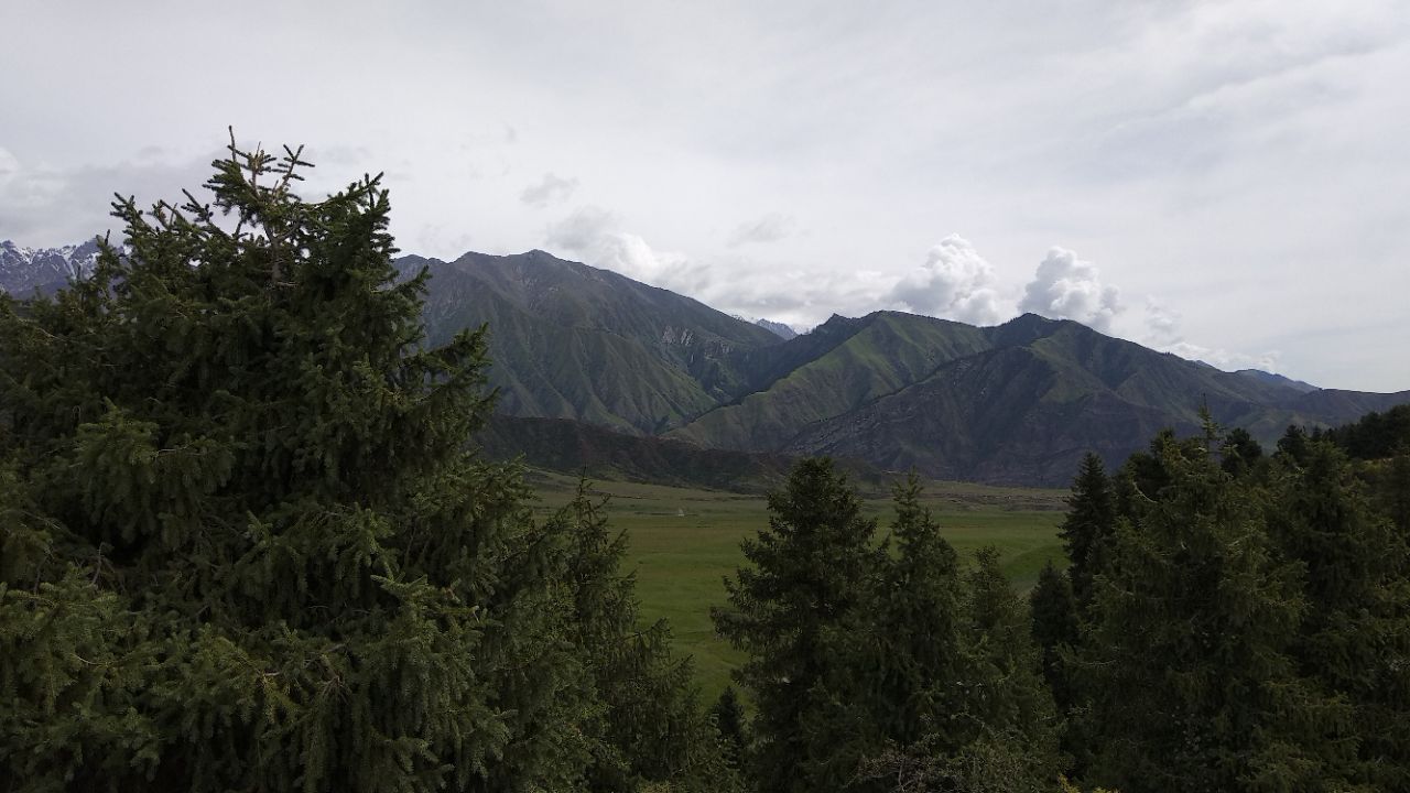 天山托木尔森林公园