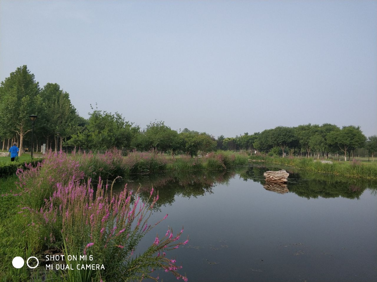 【携程攻略】北京长阳滨河公园景点,正是荷花盛开的时候,河水曲曲弯弯