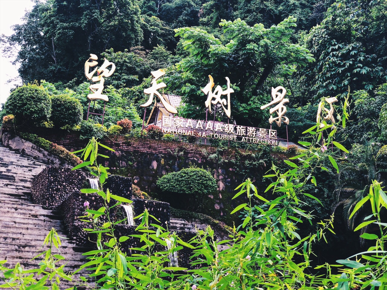 西双版纳热带雨林国家公园望天树景区