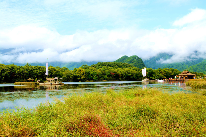 我去湖北大九湖国家湿地公园